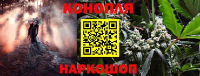 PSILOCYBIN Баксан