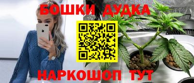 PSILOCYBIN Баксан