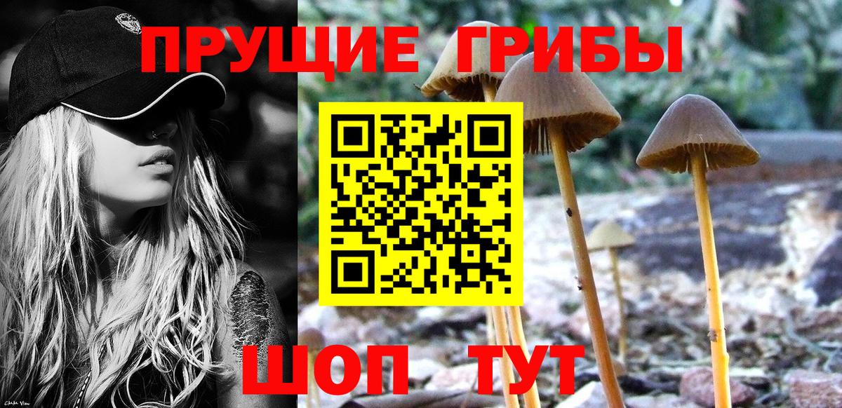 Новороссийск  Псилоцибиновые грибы мухоморы  Вход с VPN 